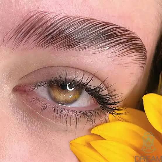 لیفت و لمینت ابرو